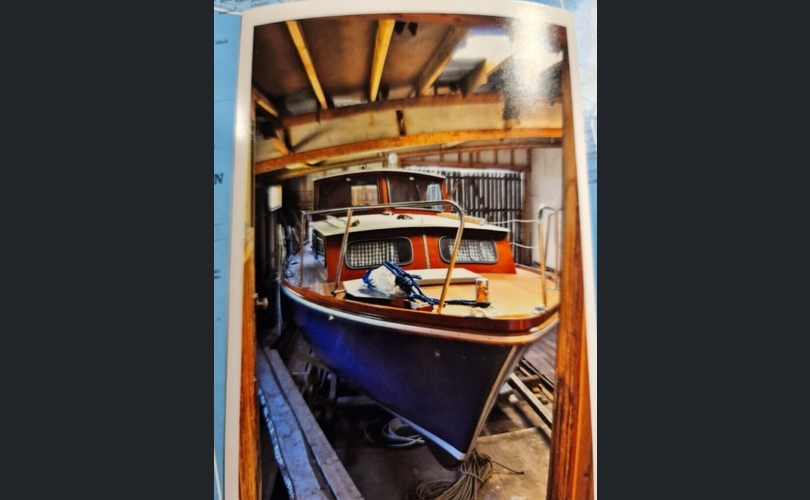 Family Cruiser-kuva-2